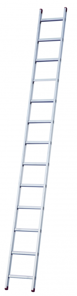 pics/Rise Tec/rise-tec-8006-1-part-leaning-rung-ladder-390.jpg